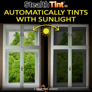 Cindy Ulrich – Stealth Tint Estimate 1071-MG